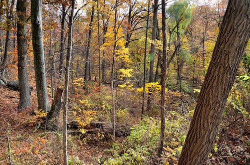 Hudson Highlands Gateway Park