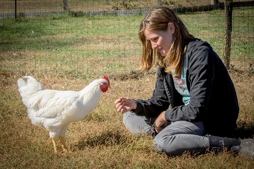 Hudson Valley Petting Zoo