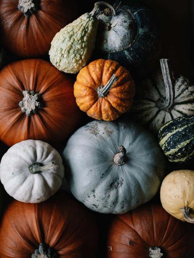 Pumpkin Patches Carmel, NY