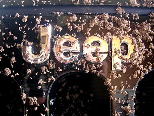 Jeep Wrangler Trim Levels