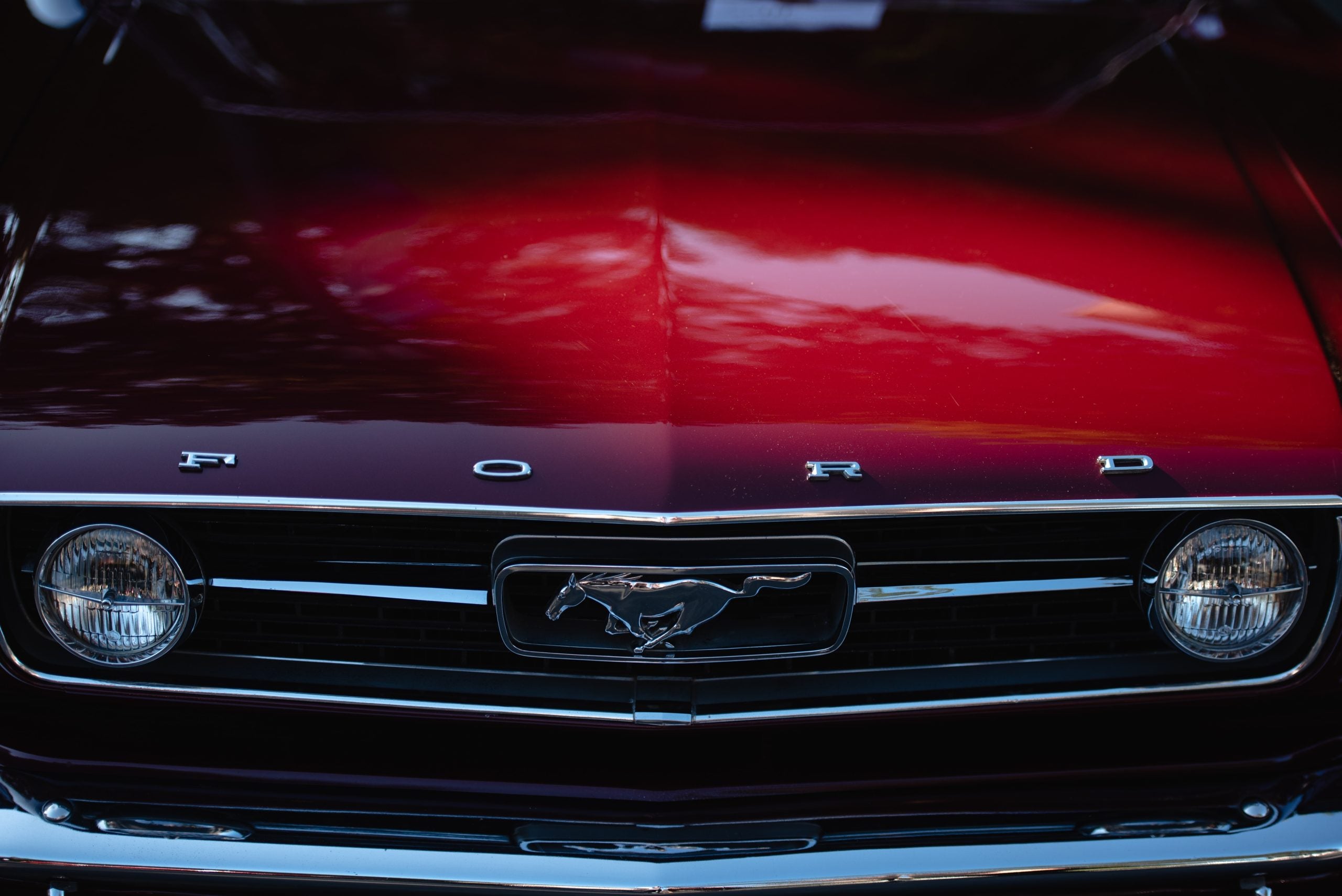 Used Ford