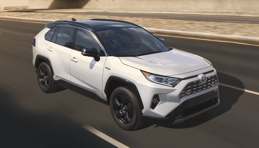 2019 Toyota RAV4 at Marianna Toyota