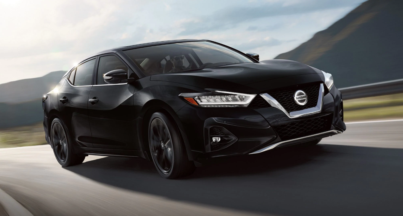 2019Maxima
