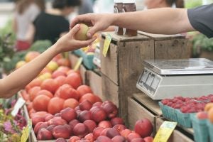 Farmers Market | Fox Acura of El Paso