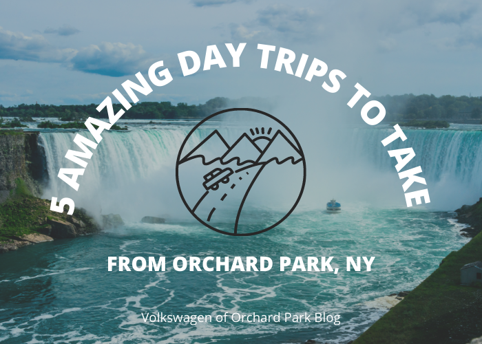 Activities near Orchard Park