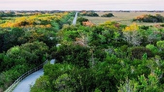 village-toyota-celebrates-summer-everglades