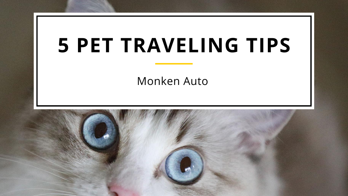 Pet Traveling Tips