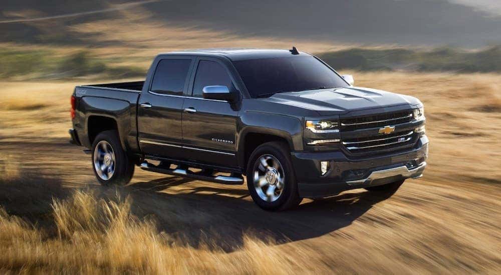 A black 2018 Chevy Silverado 1500 is driving though a hay field after looking for used trucks for sale near you.