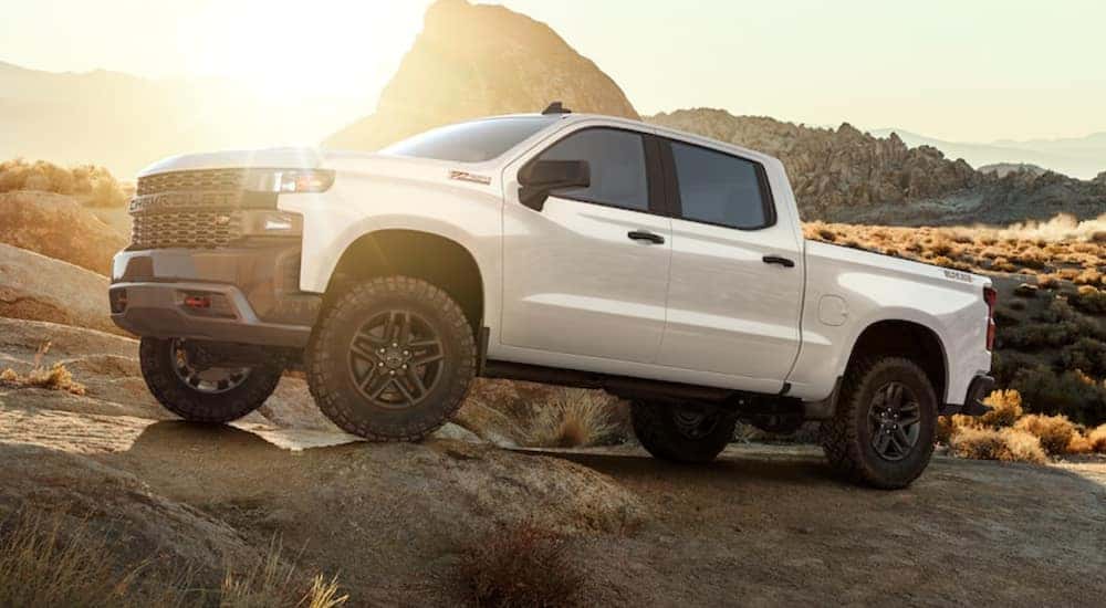 A white 2020 Chevy Silverado 1500 is off-roading in the desert after leaving a used Chevy Silverado dealer in KY.