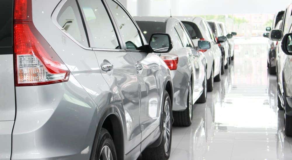 Rows of cars inside a used car dealership in Lexington, KY, are shown.