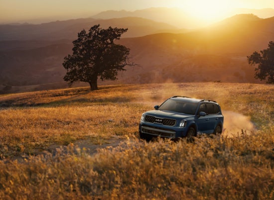 Kia Telluride drives along a dusty trail in a sunlit, grassy field with rolling hills.