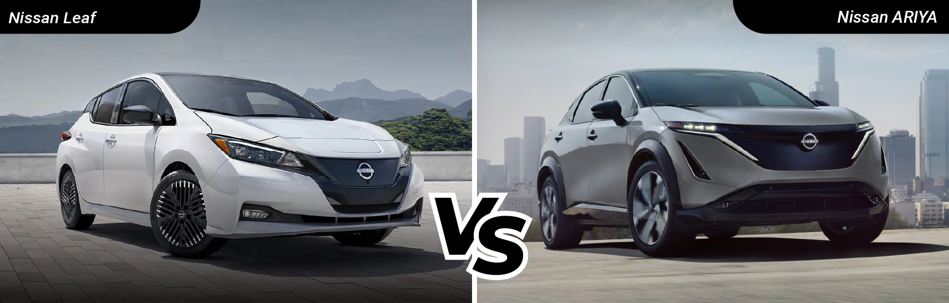v2Nissan Leaf VS Ariya