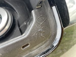 Spider with "Ciao baby" Easter egg