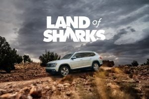 Shark Week VW