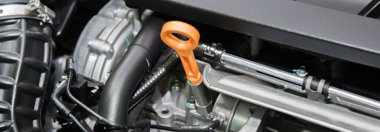 oil change dipstick