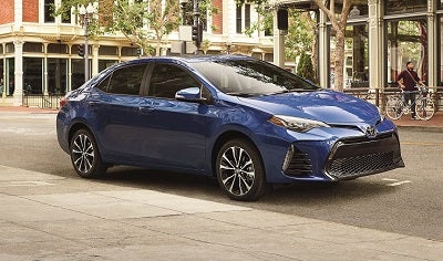 2019 Toyota Corolla Front Mesh Grille