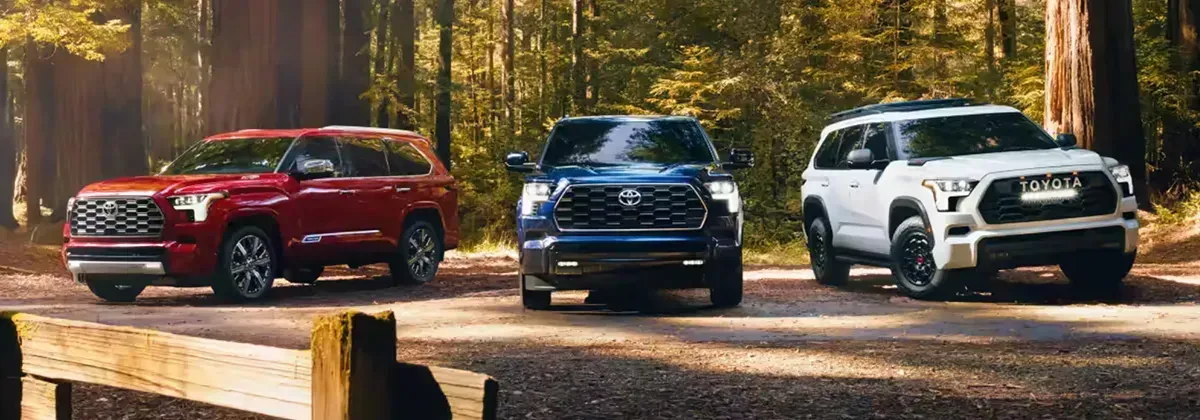 Toyota Sequoias 