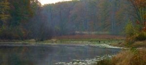 4 Reasons to Get Out and Explore Cedarville State Forest