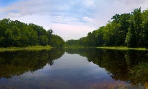 Get Out and Play at These Waldorf MD Parks
