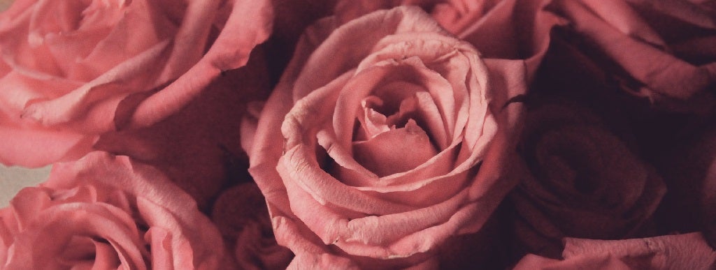 pexels-photo-1447367(copy)