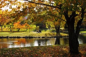 Get Out and Play in These Rockville, MD Parks