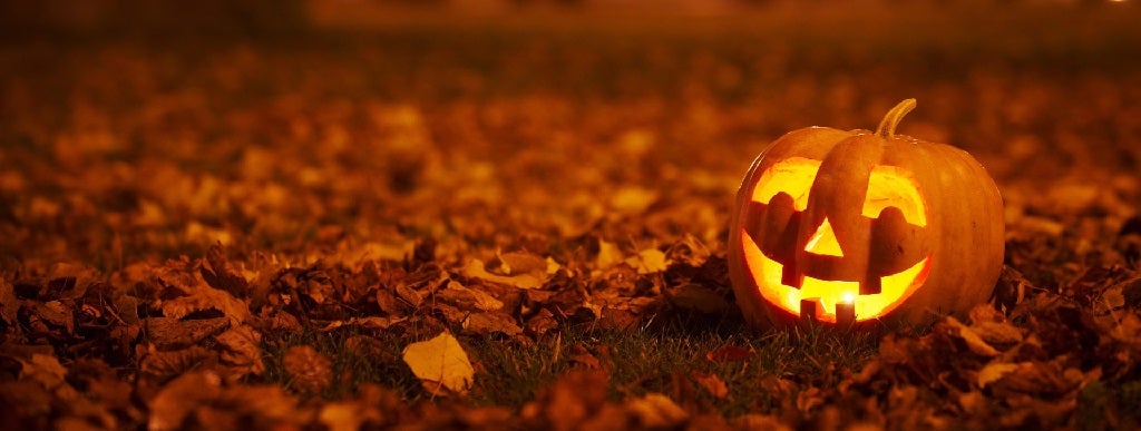 pumkin