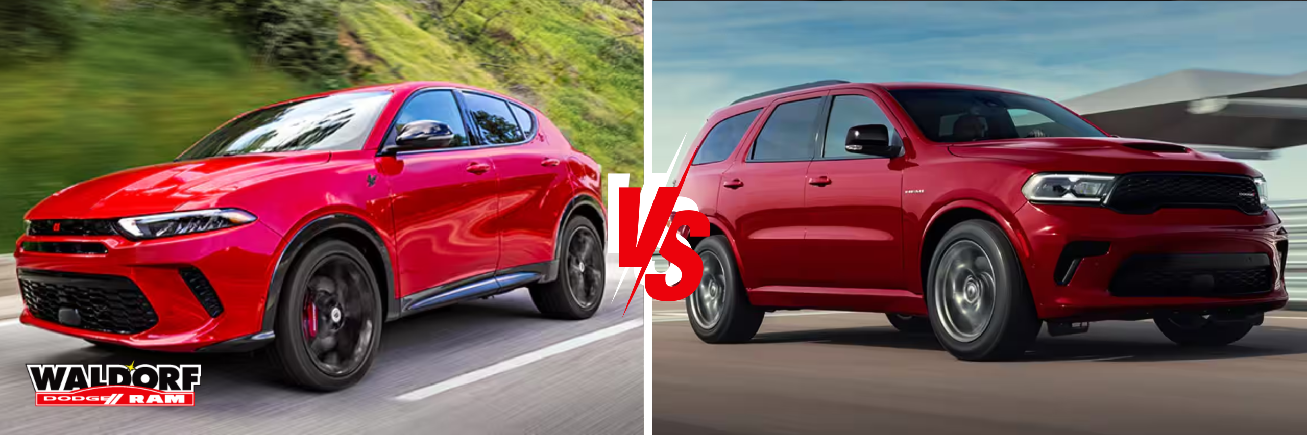 Hornet vs Durango MAIN