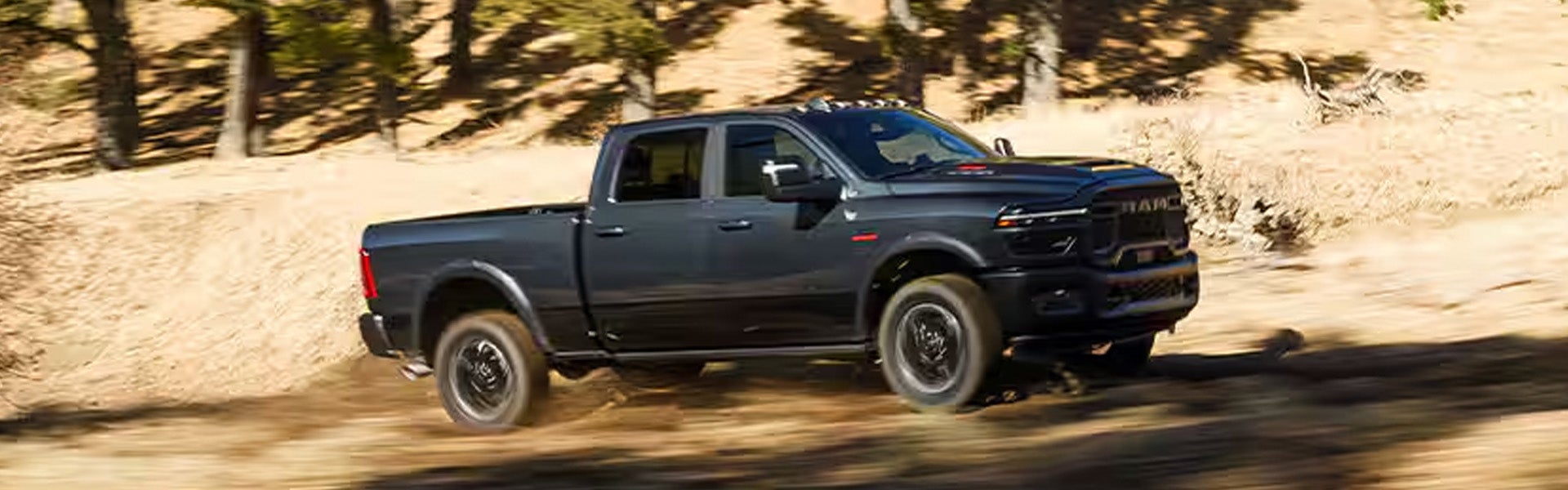 Black Ram 2500