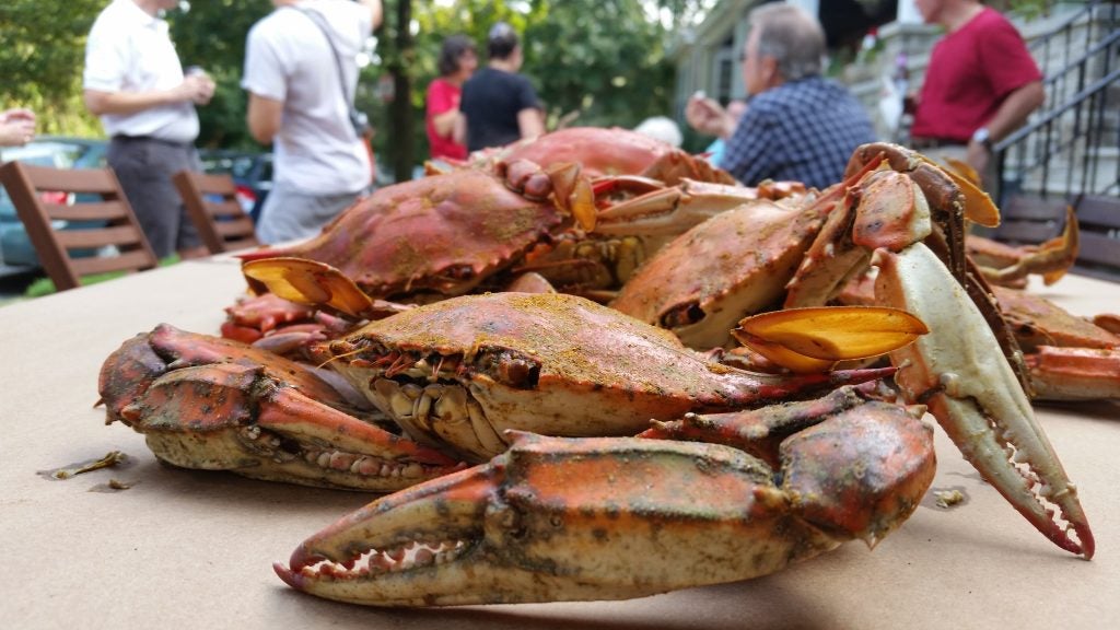 Best Crabs in Annapolis