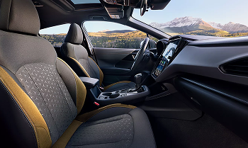 Stylish and Comfortable Cabin