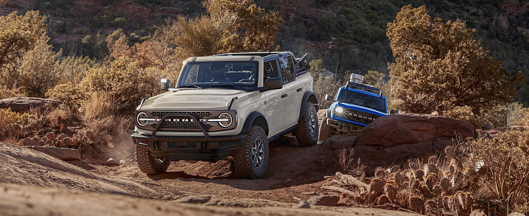 Electronic Front- and Rear-Locking Differentials