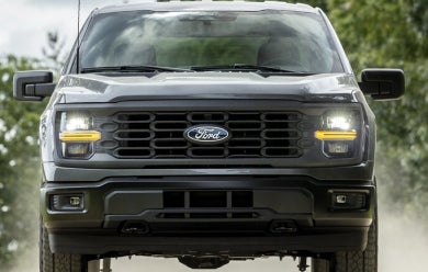 Shield of Confidence
