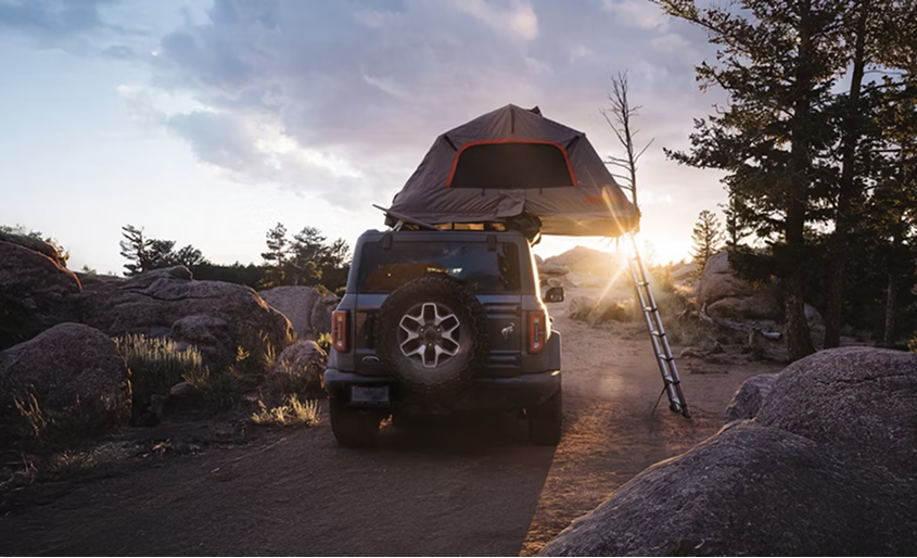 Chase Your Own Adventure