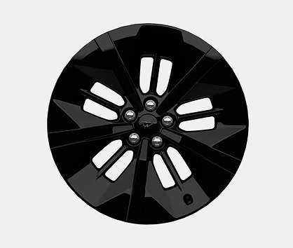 20 inch Monochromatic Black-Painted Wheels