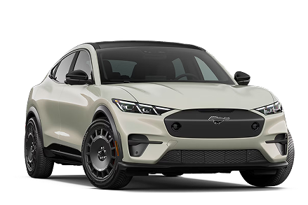 Mustang Mach-E Rally