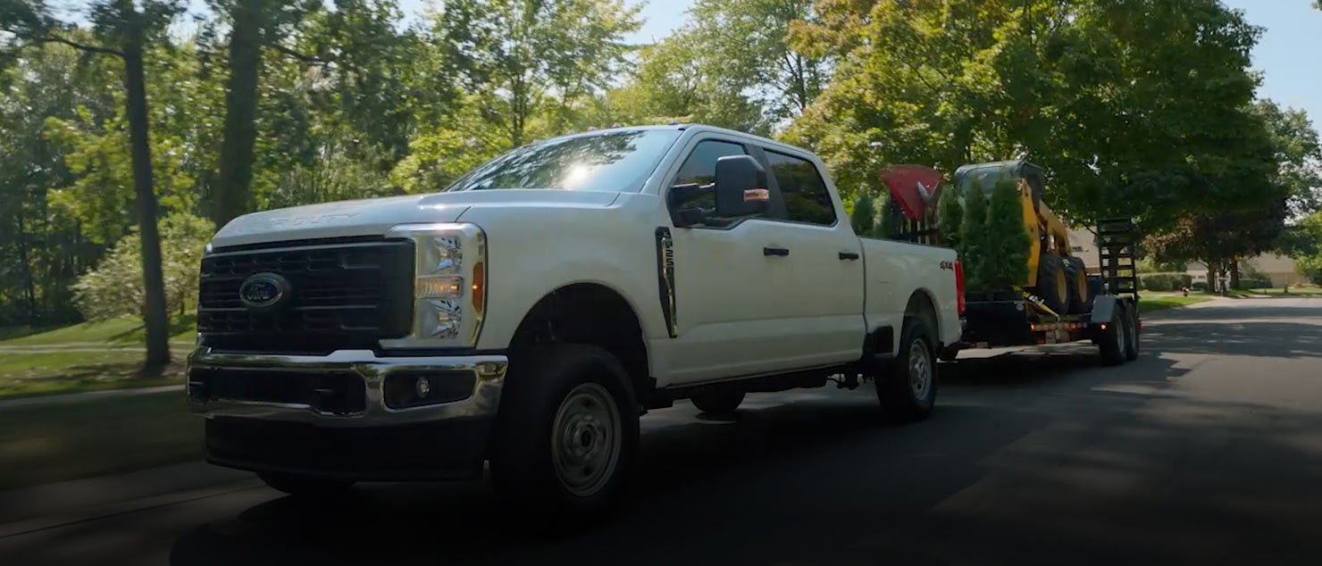 Class-Dominating Capability