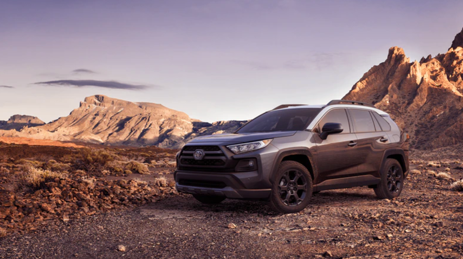 Toyota SUV: 2020 RAV4