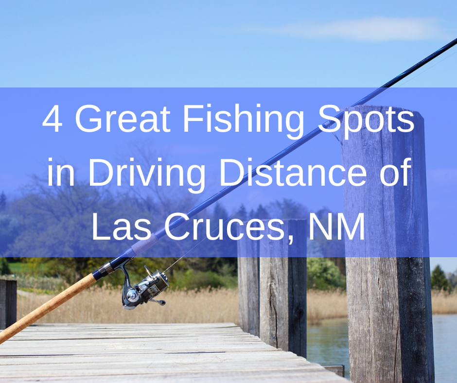 fishing spots near las cruces new mexico