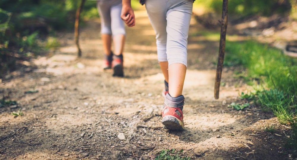 Children,Hiking,In,Mountains,Or,Forest,With,Sport,Hiking,Shoes.