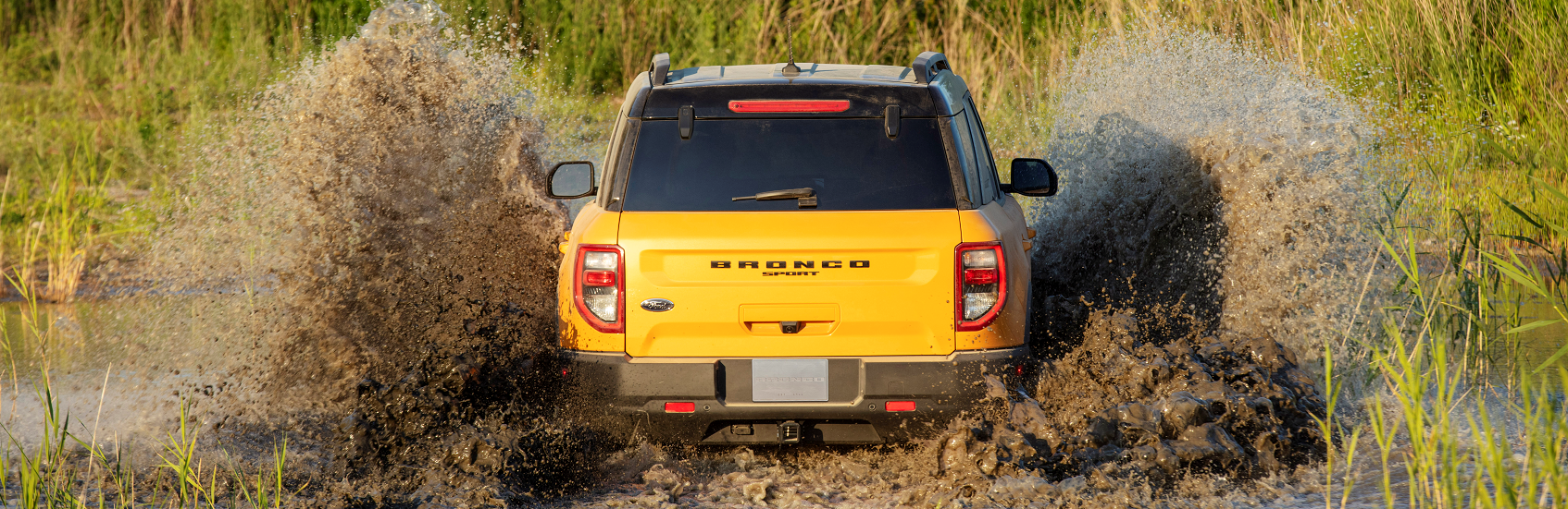 A yellow Ford Bronco pictured from behind splashing into a muddy stream with tall grass.