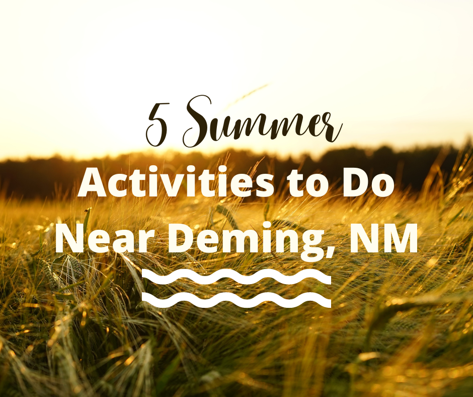 Summer Activities