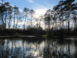 Hike in Houston Texas