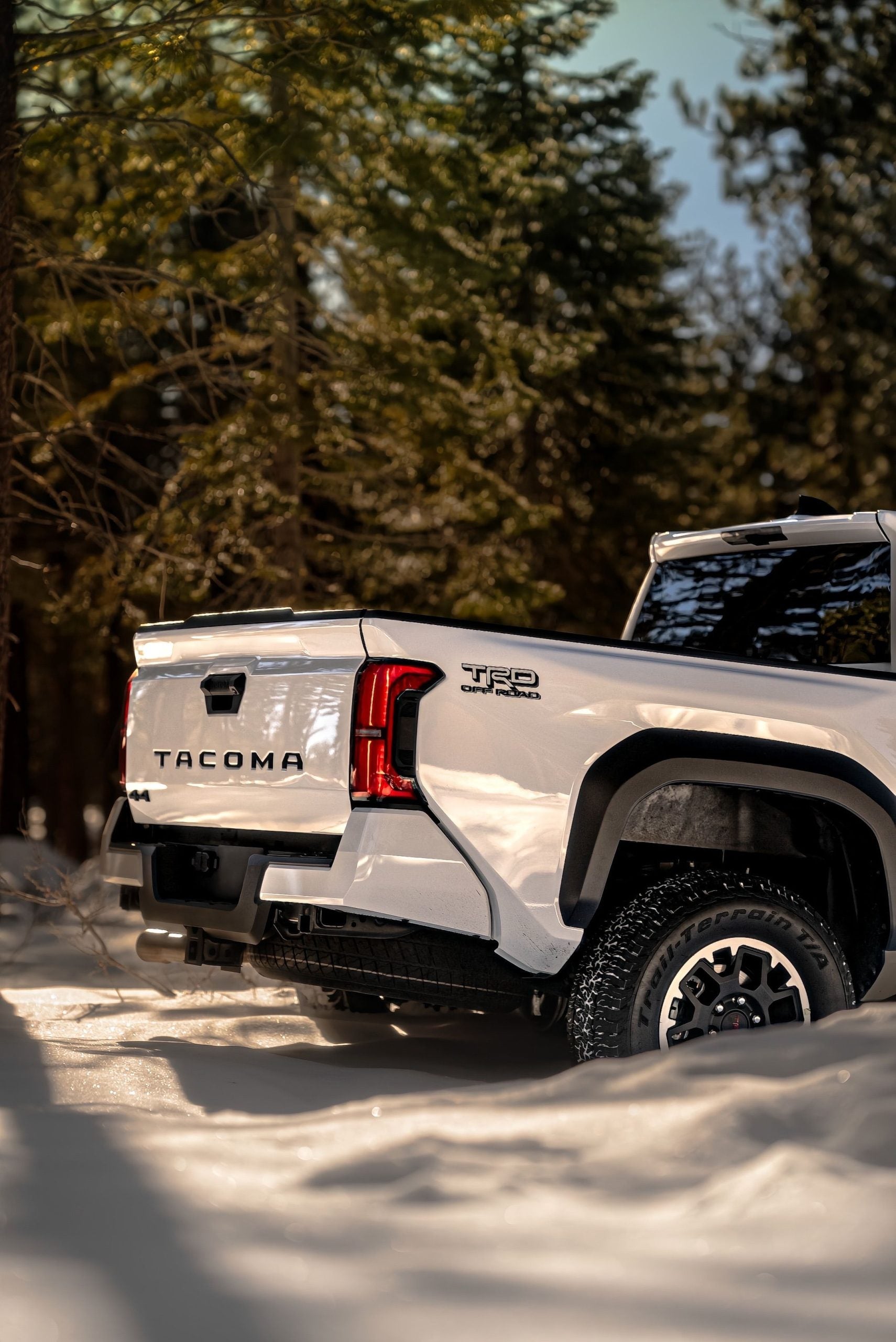 White Tacoma truck in a snowy forest, showcasing rugged wilderness adventure.