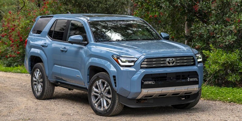 Light blue Toyota Sequoia SUV parked on a gravel path with green foliage and red berries in the background.