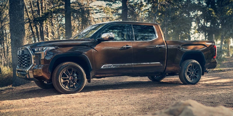 Side view of a dark brown Toyota Tundra pickup truck with black wheels on a dirt road in a sunny forest.