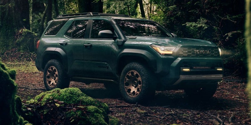 A dark green Toyota SUV with bronze wheels parked on a mossy forest floor.