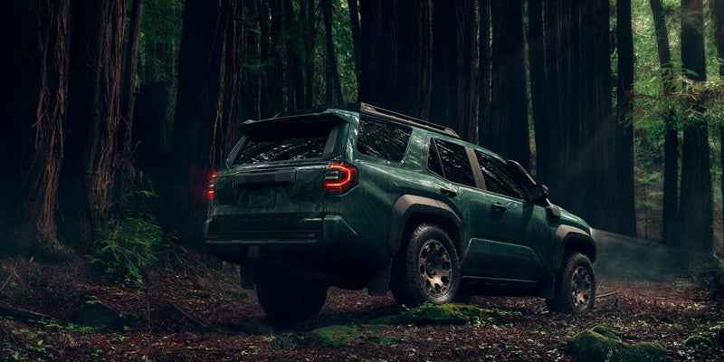 A dark green SUV with bright red taillights and headlights sits on a mossy forest floor among tall trees in the rain.