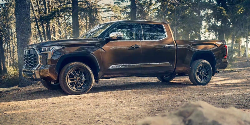 A bronze Toyota Tundra pickup truck with black wheels, parked on a dirt road in a sun-dappled forest.