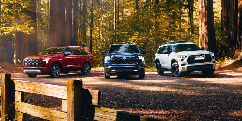 Three Toyota SUVs, red, blue, and white, lined up on a dirt path facing forward in an autumn forest.