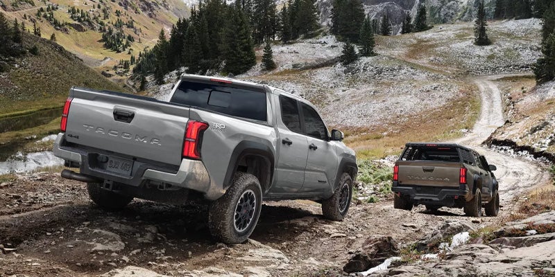 Two Toyota Tacoma pickup trucks on a rocky mountain road, one gray and one brown.